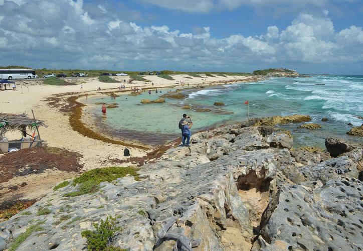 Imagen de Va Cozumel por playa inclusiva