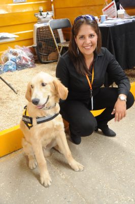 Imagen de Perros de asistencia