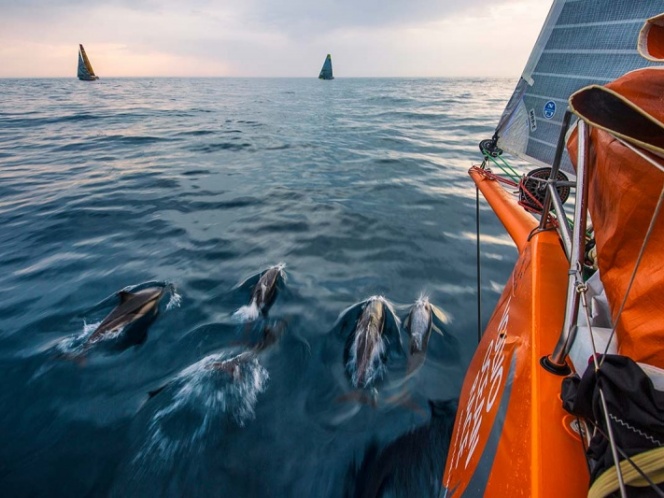 Imagen de 8 de junio, Día Mundial de los Océanos