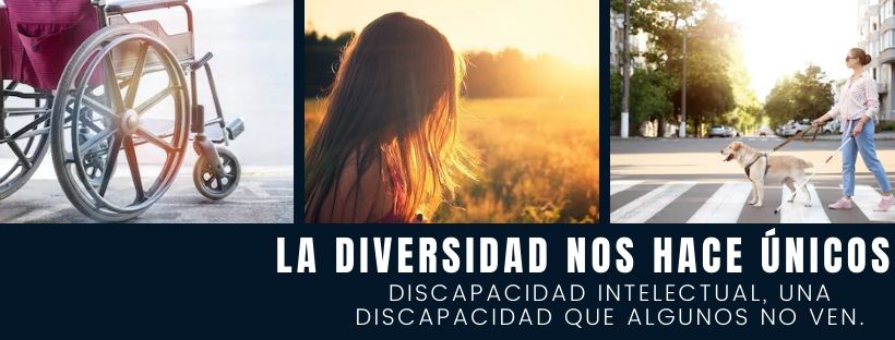 Imagen de Discapacidad Intelectual