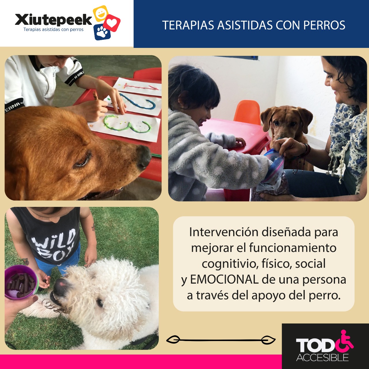 Imagen de Terapias Asistidas con Animales